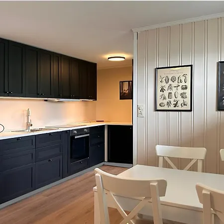Sentralt I Apartment
